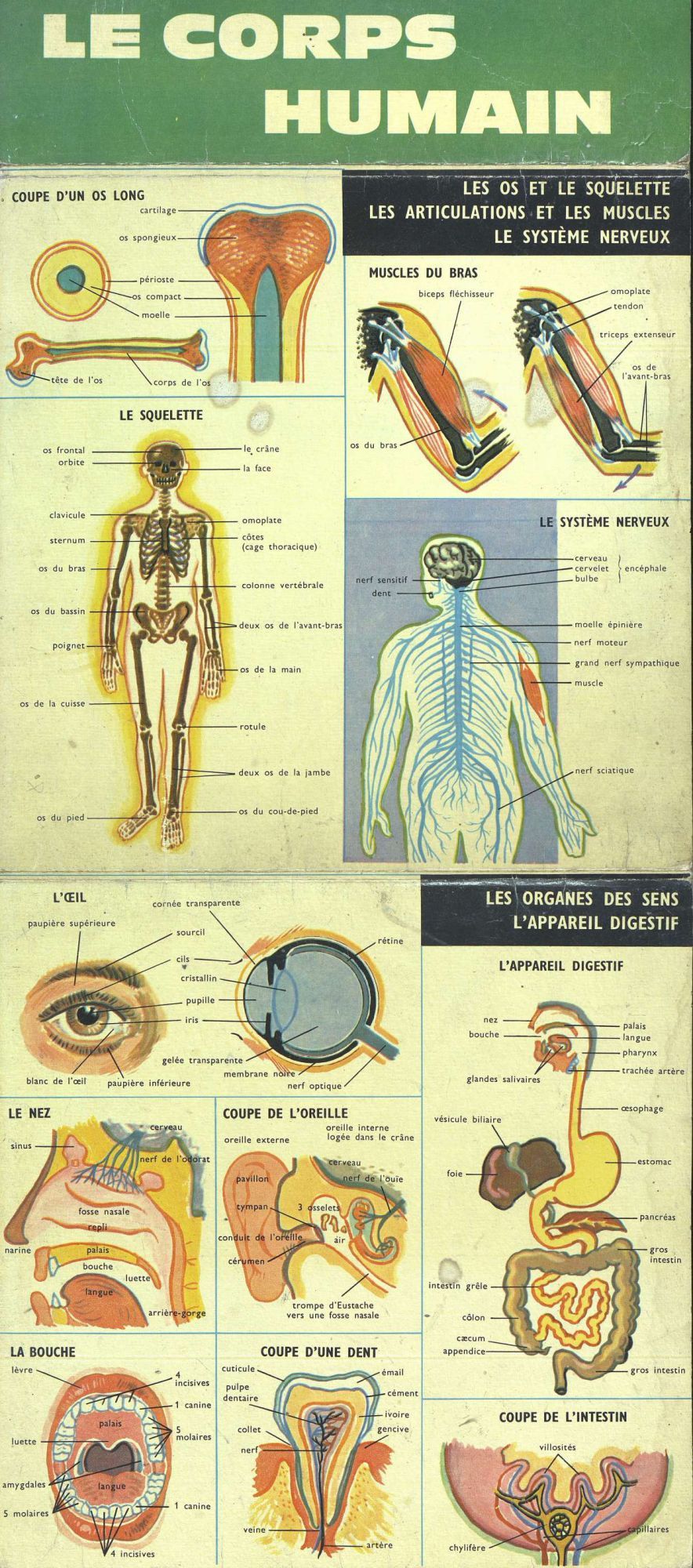 Les archives prennent corps