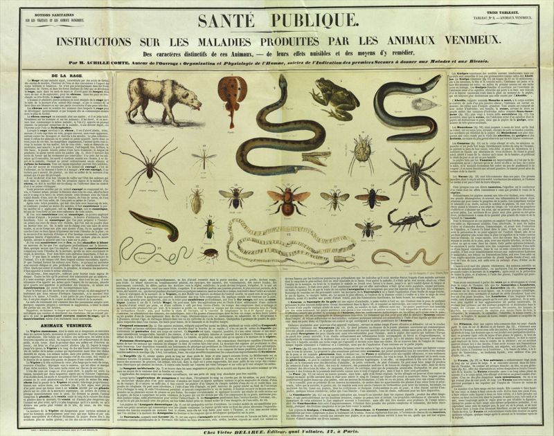 Instructions sur les maladies produites par les animaux venimeux (M 1936, 1851)