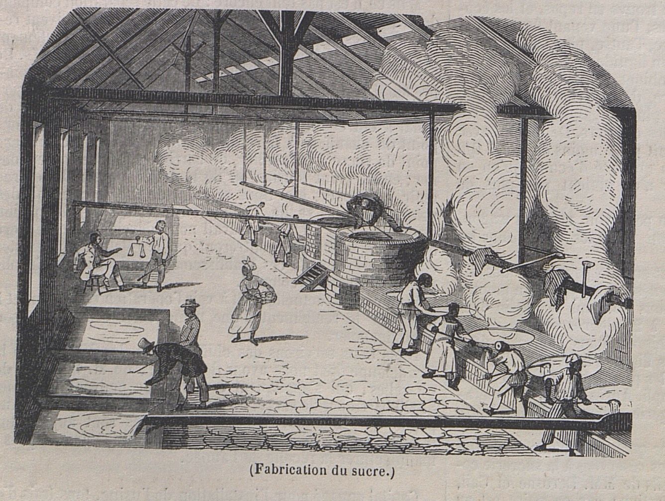 Fabrication du sucre, extrait du journal L'Illustration de 1848 - PR 56/2 (AD 71)