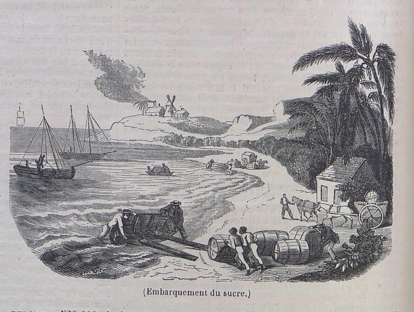 Embarquement du sucre, extrait du journal L'Illustration de 1848 - PR 56/2 (AD 71)