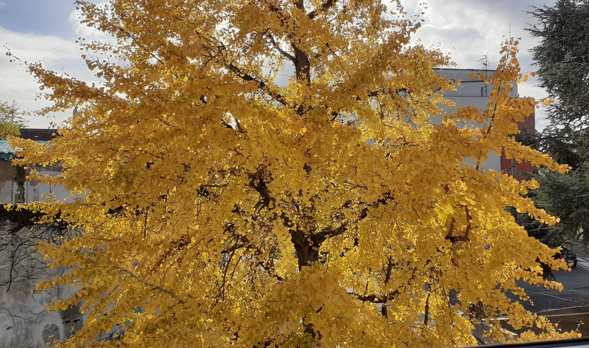 Nouvelles archives numérisées en ligne dont les registres matricules militaires des classes 1922-1925